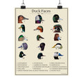 Duck Faces Identification Chart